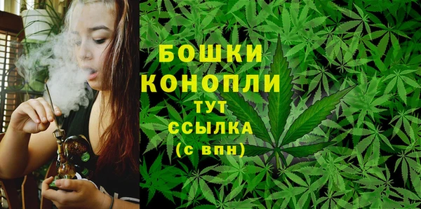 прущие крисы Богданович